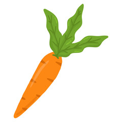 carrot with leaves
