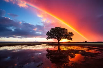 Abwaschbare Fototapete beautiful landscape with rainbow, tree and sky . ai generated © dark_blade
