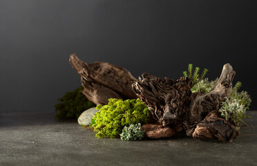 Northern natural composition with lichen, moss, branches and driftwood.