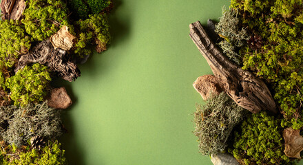 Abstract north nature scene with a composition of lichen, moss, and old snags on a green background. - obrazy, fototapety, plakaty