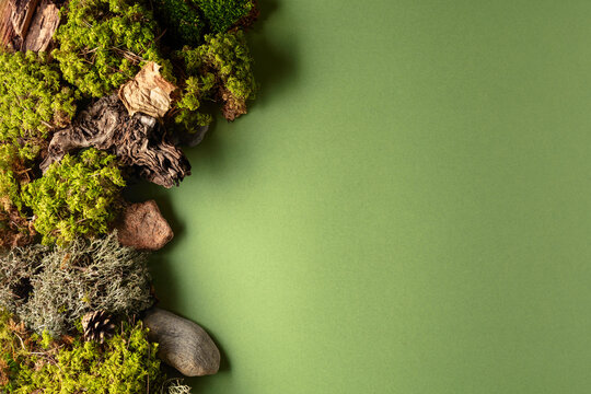 Abstract north nature scene with a composition of lichen, moss, and old snags on a green background.