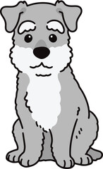 Simple and cute illustration of Miniature Schnauzer sitting in front view