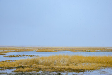 Hainan Mongolian and Tibetan Autonomous Prefecture, Qinghai Province-Plateau meadow scenery in winter