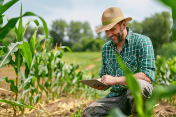 Naklejka na ściany i meble agronomist inspecting corn crops growing in farm field, using tablet as a notebook