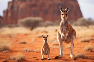 Fotobehang Portrait of a kangaroo with a baby in its natural habitat. © Татьяна Евдокимова