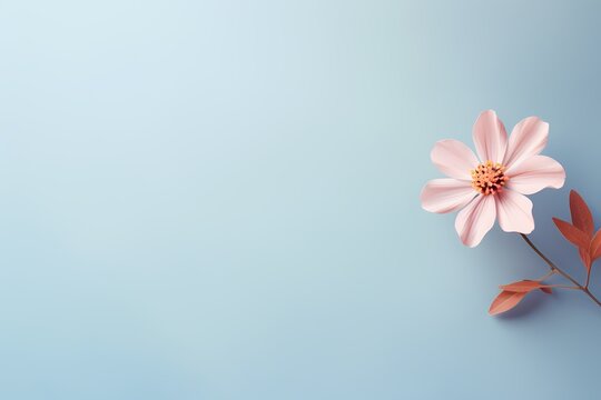 A beautifully composed top-view image of a small flower on a solid pastel surface, designed for personalized text inclusion.