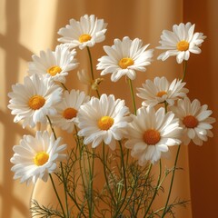 Chamomile daisy flowers bouquet on warm tan ginger background with sunlight shadows.