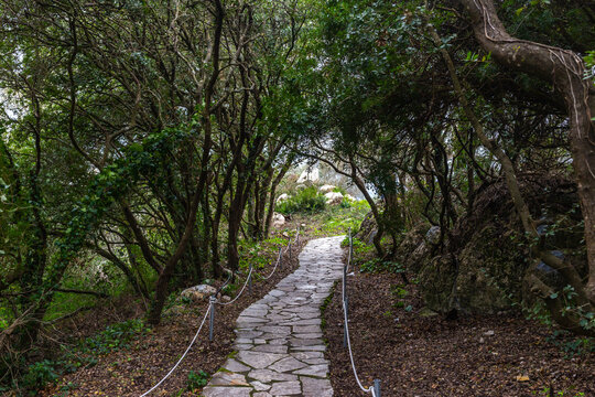 Rocky path in a forest - Corfu, Greece