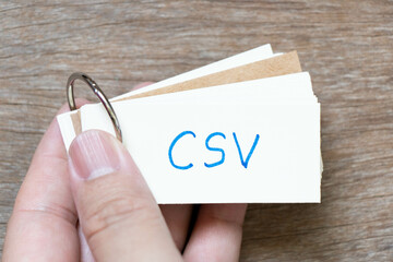 CSV (Abbreviation of Computer system validation or Comma-separated values)