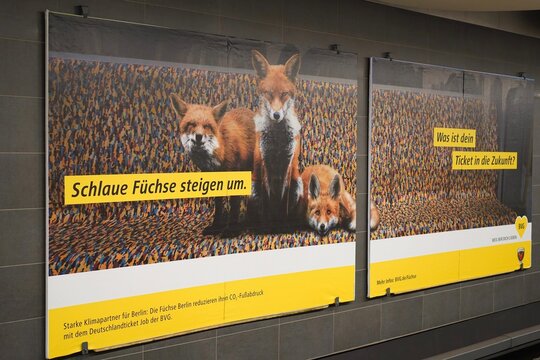 Gemeinsame Werbung der BVG und der F&uuml;chse Berlin in einem U-Bahnhof in Berlin am 12.02.2024