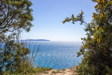 Fototapeta na wymiar View of Mediterranean sea in forest window 