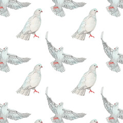 Watercolor birds flying pigeons paattern. Birds print. Hand painted illustration in natural colors on white backround.