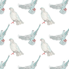 Watercolor birds flying pigeons paattern. Birds print. Hand painted illustration in natural colors on white backround.