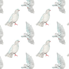 Watercolor birds flying pigeons paattern. Birds print. Hand painted illustration in natural colors on white backround.