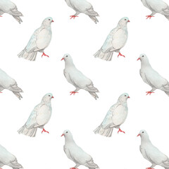 Fototapeta premium Watercolor birds flying pigeons paattern. Birds print. Hand painted illustration in natural colors on white backround.