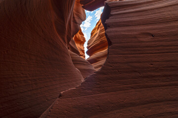 Fish in Antelope Canyon