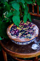 Berry Mix Summer Cake..style rustic