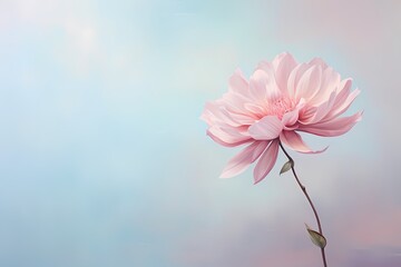HD capture of a lone bloom on a vibrant pastel canvas, offering a clean and serene composition with text placement options.