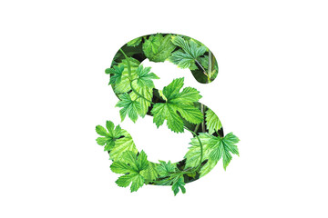 letter S made from green leaves isolated on white