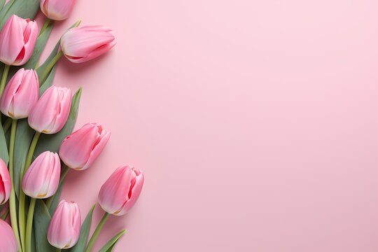 High-quality image capturing the top view of tulips in full bloom on a pastel pink background, offering a seamless area for text integration.