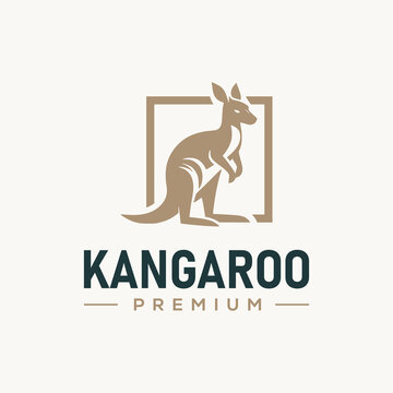 Kangaroo logo, icon vector design template.  flat logo vector kangaroo design