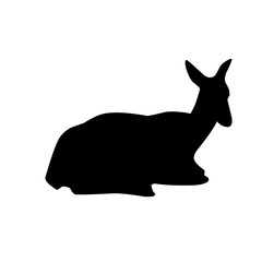Collection of silhouettes of wild animals - the deer 