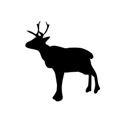 Collection of silhouettes of wild animals - the deer 
