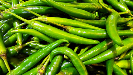 Fresh Green Chili Peppers in Abundance