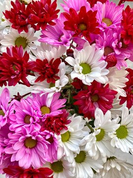 Valentine's Day bouquet of pink, red and white mums