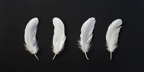 four white feathers on a black background in the styl - obrazy, fototapety, plakaty