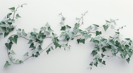 green ivy on a white background in the style of surre - obrazy, fototapety, plakaty