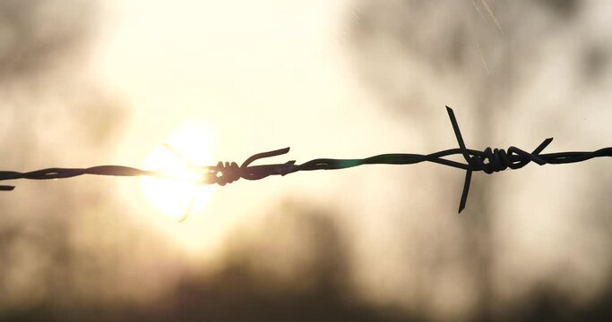 Barbed silhouette against a beautiful sunrise or sunset background.