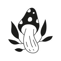 Black Amanita fly agaric mushroom.