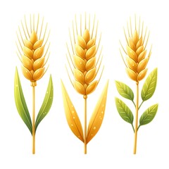 watercolor illustration of wheat ears, wheat