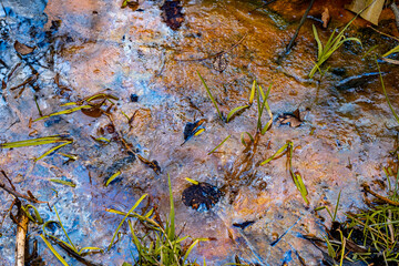 Water pollution on river by toxic chemicals