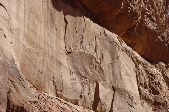 Shell traces in rocks found in Saudi Arabia, Tabuk region