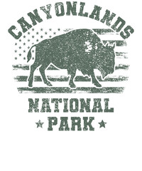 US National Park Retro Illustration Vintage Mountains Hiking Outdoor Nature