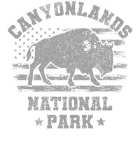 US National Park Retro Illustration Vintage Mountains Hiking Outdoor Nature