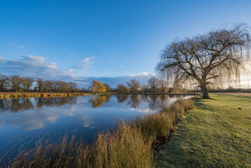 Fototapeta na wymiar Morning sky reflection over pond