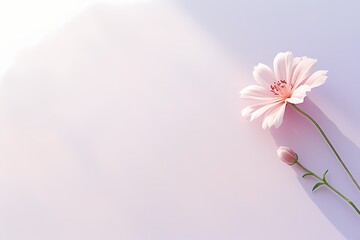 Top view of a dainty flower against a solid, bright pastel setting, offering a tranquil scene with space for expressive text.