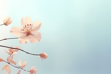 Top view of a dainty flower set against a solid, bright pastel setting, providing a serene atmosphere with text space.