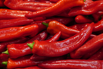 fresh organic red pepper from farm close up from different angle, green paprika in the grocery store