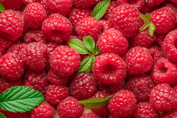Fresh red ripe raspberries. Raspberries background.
