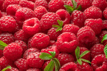 Fresh red ripe raspberries. Raspberries background.