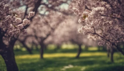 Wandcirkels tuinposter blossom in spring, blooming trees in spring, amazing spring scenery, trees in spring © Gegham