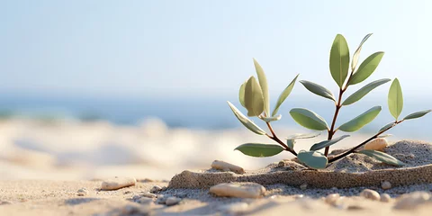 Crédence de cuisine en verre imprimé Pierres dans le sable Stones with green plant on beach, closeup. Zen concept