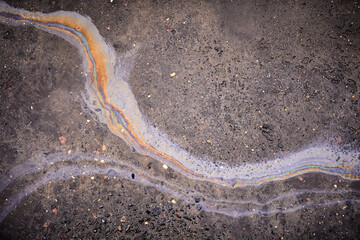 A colorful stain of engine oil on the road.