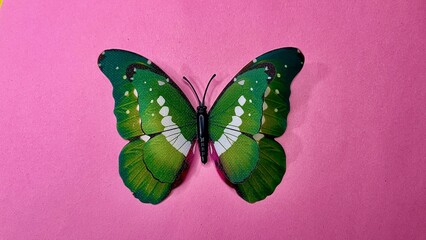 Beautiful green color butterfly sitting on a pink background