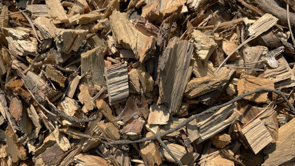Wooden background. Splinters of wood