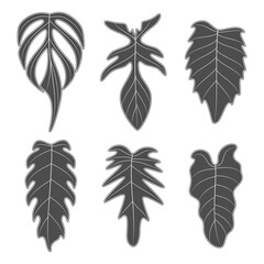 Set of black and white illustrations with monstera creeper plant leaves. Isolated vector objects on white background. - 734112328